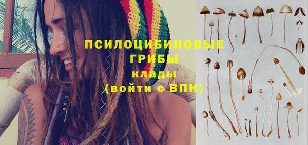 СК Балахна