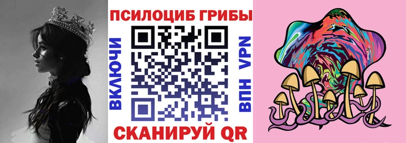 магазин продажи наркотиков  Феодосия  Галлюциногенные грибы Psilocybine cubensis 